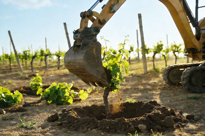 Interior Renovation​